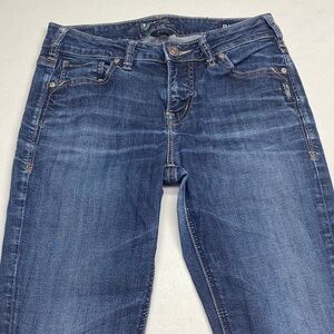 Silver Jeans Dark Wash Skinny Jeans